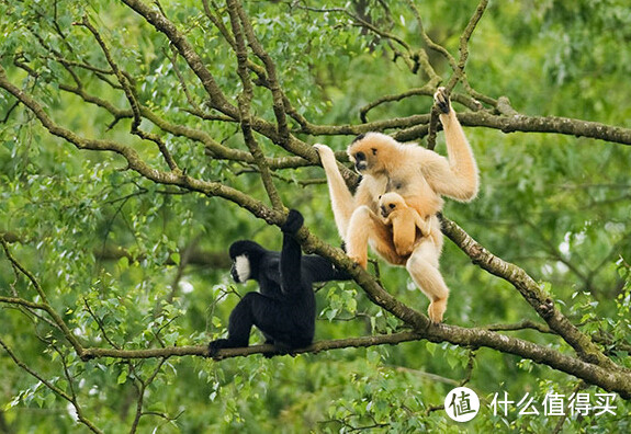 带娃玩杭州，这些地方价廉物美，是本地人都从小玩到大的！