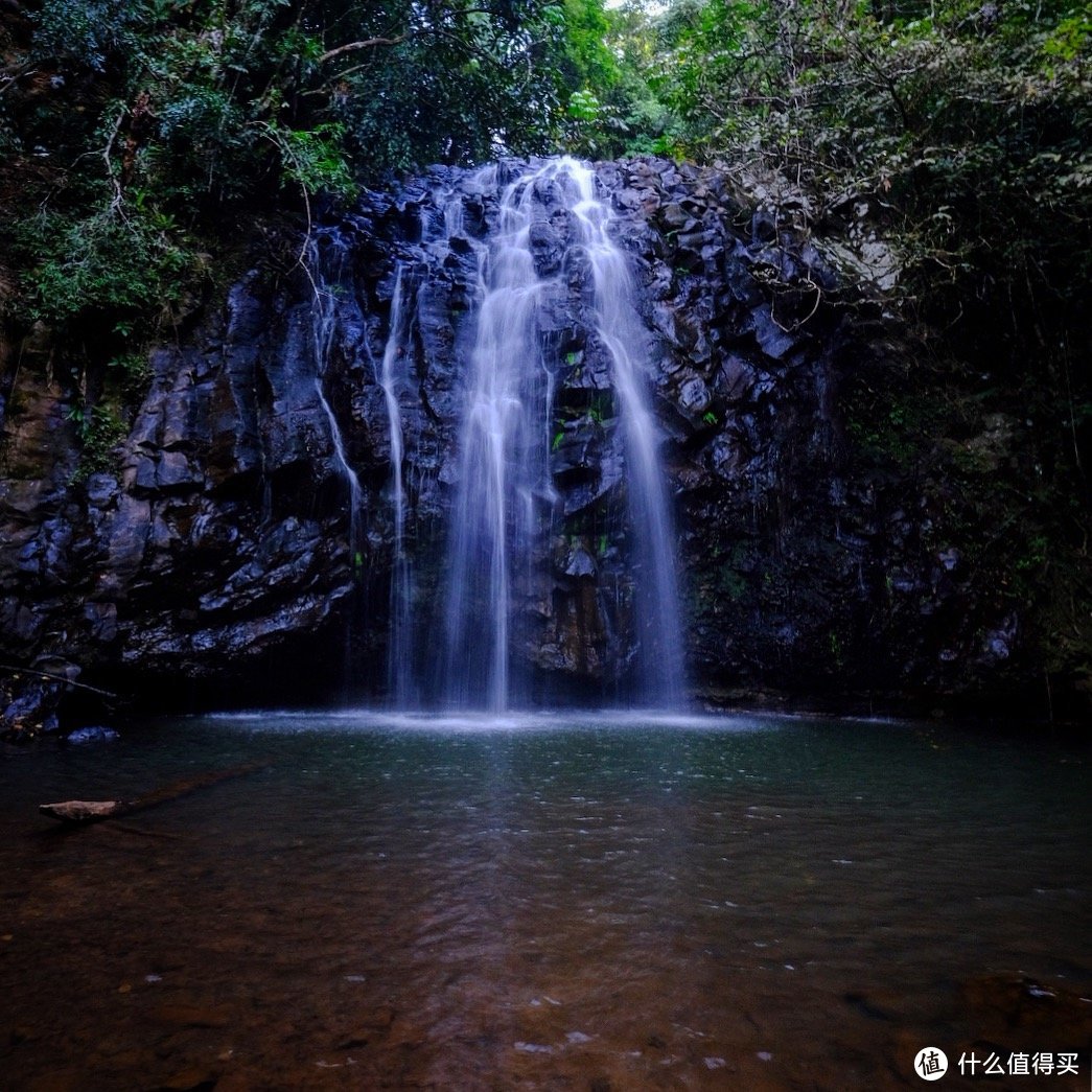 飞天遁海昆士兰