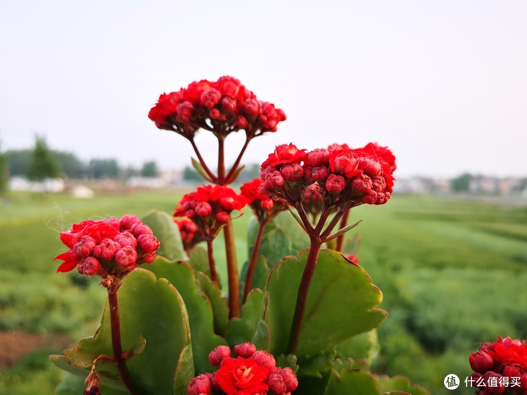 用极光定义，用徕卡三摄——致一生所爱的华为P20Pro