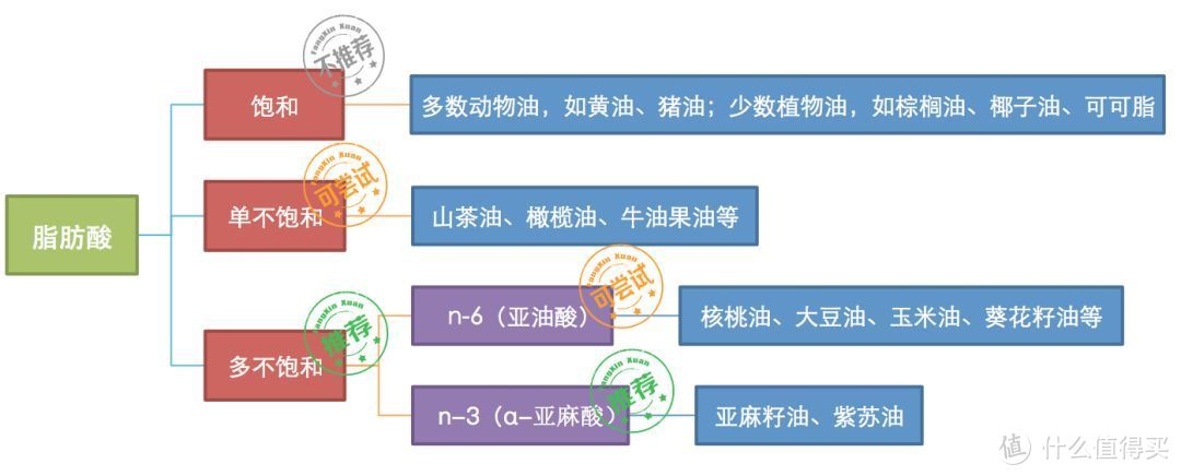 吃油攻略|宝宝要不要吃油？什么油最健康？怎么吃？看这一篇就够了