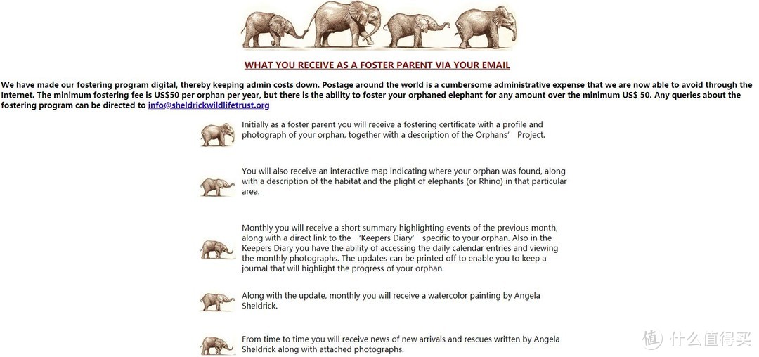 教你如何在肯尼亚大象孤儿院领养一头象宝宝！