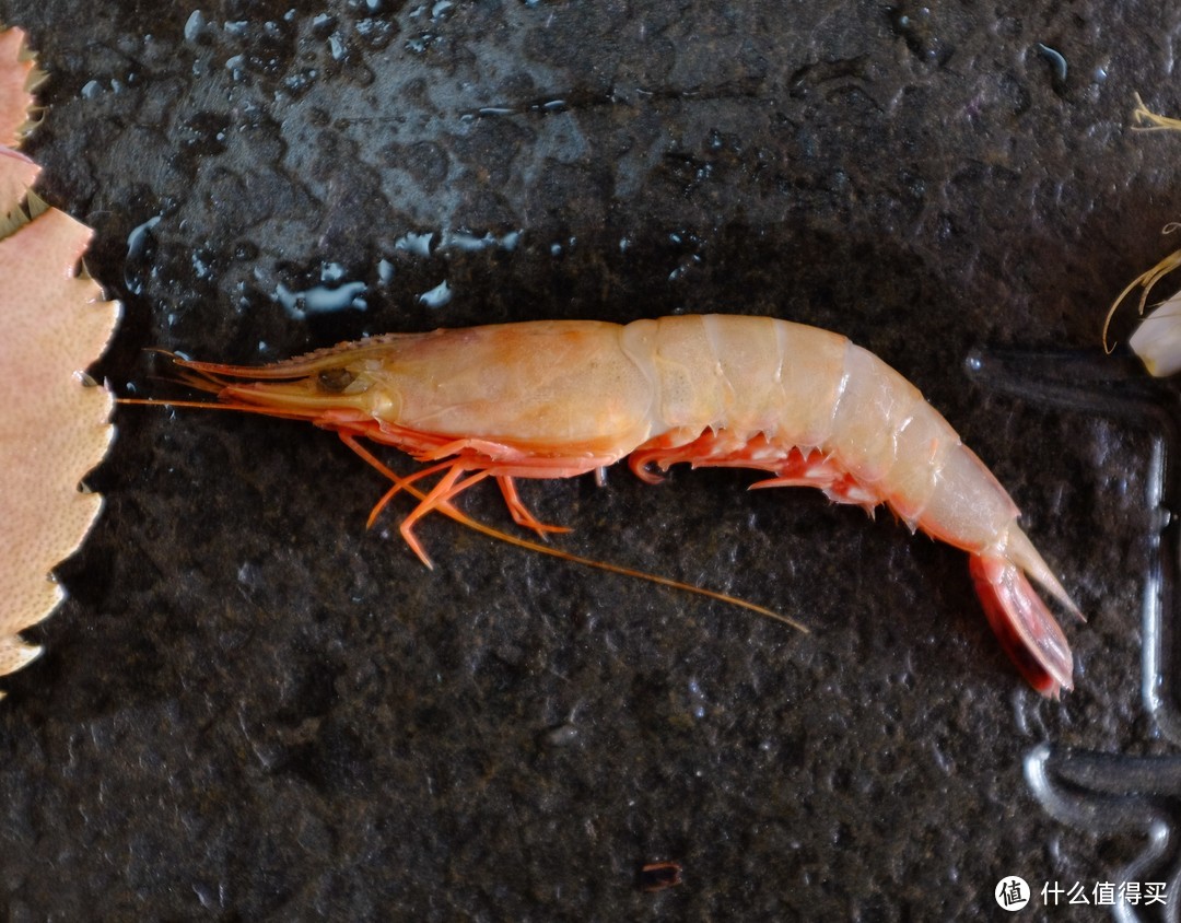 25种虾评测：虾类双11购买攻略富山虾 红魔虾 蓝虾 龙虾 斯干比 甜虾