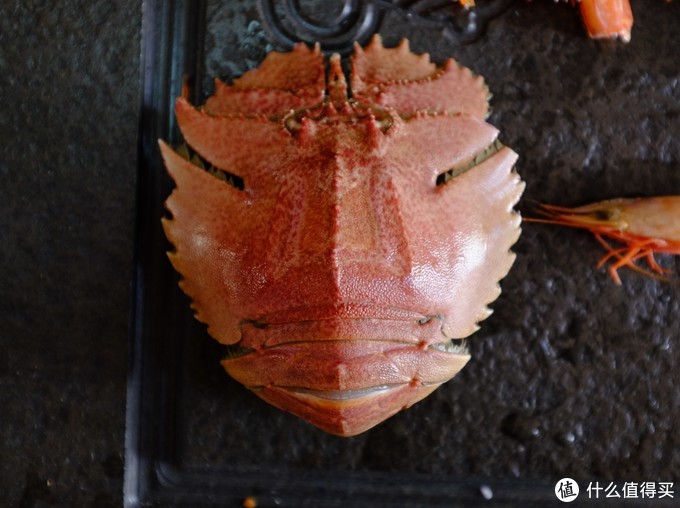 25种虾评测：虾类双11购买攻略富山虾 红魔虾 蓝虾 龙虾 斯干比 甜虾
