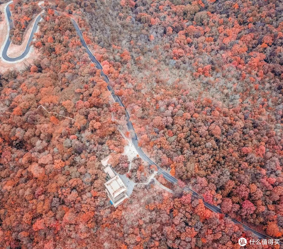 秋风一起，十里红妆—这些“枫”景独好的赏枫地可别再错过了