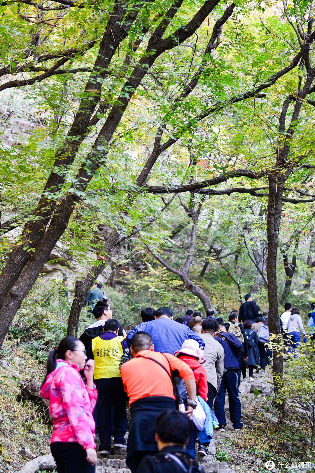 赏红叶减肥两不误—石门坊一日游