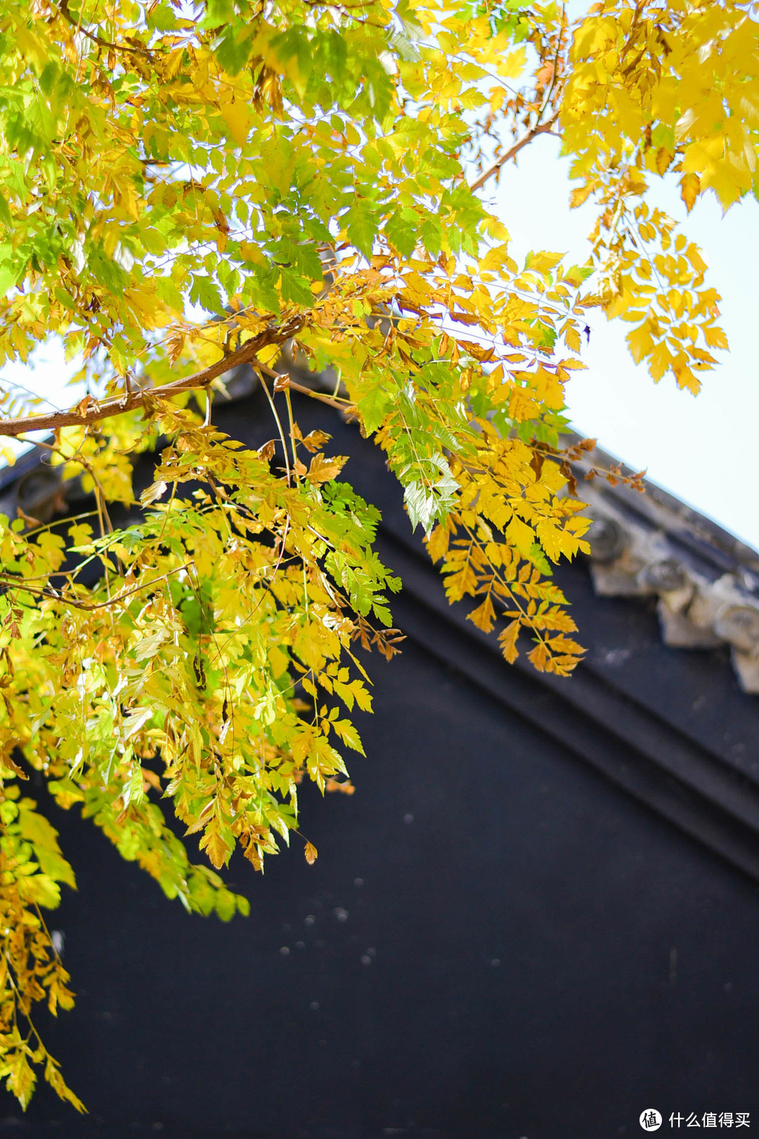 后面黑色的山墙就是“崇圣寺”