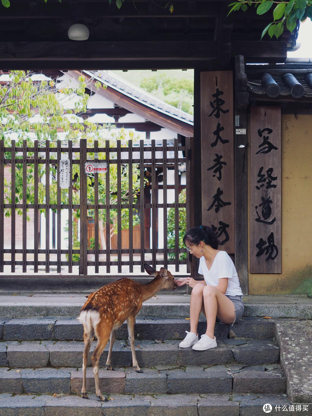 东大寺的小鹿