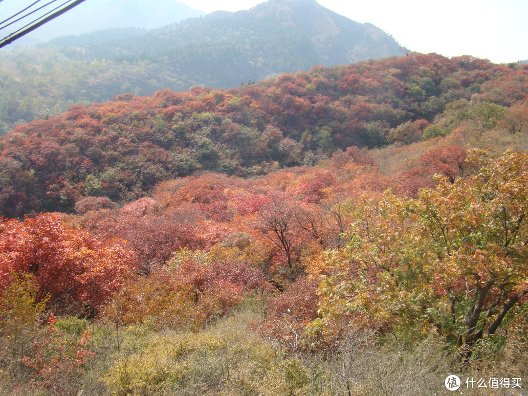 年年红叶皆相似，岁岁心情各不同—观红叶游记