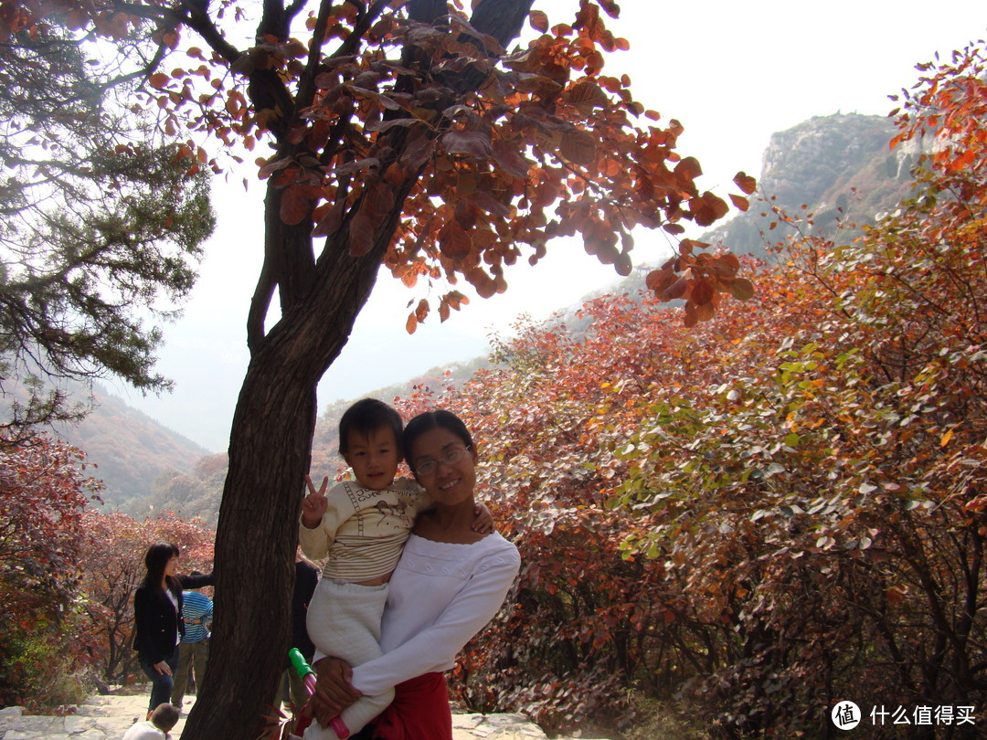 年年红叶皆相似，岁岁心情各不同—观红叶游记