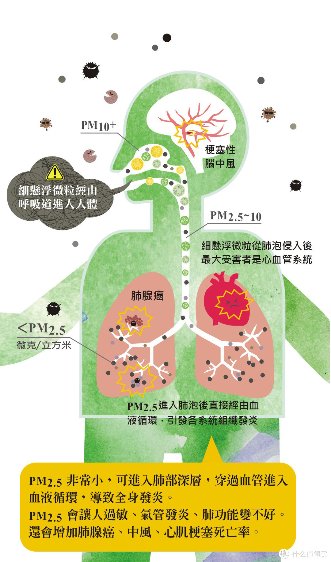 穹顶之下：对抗雾霾的经验分享