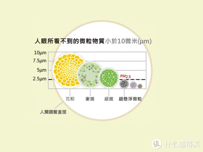 穹顶之下：对抗雾霾的经验分享