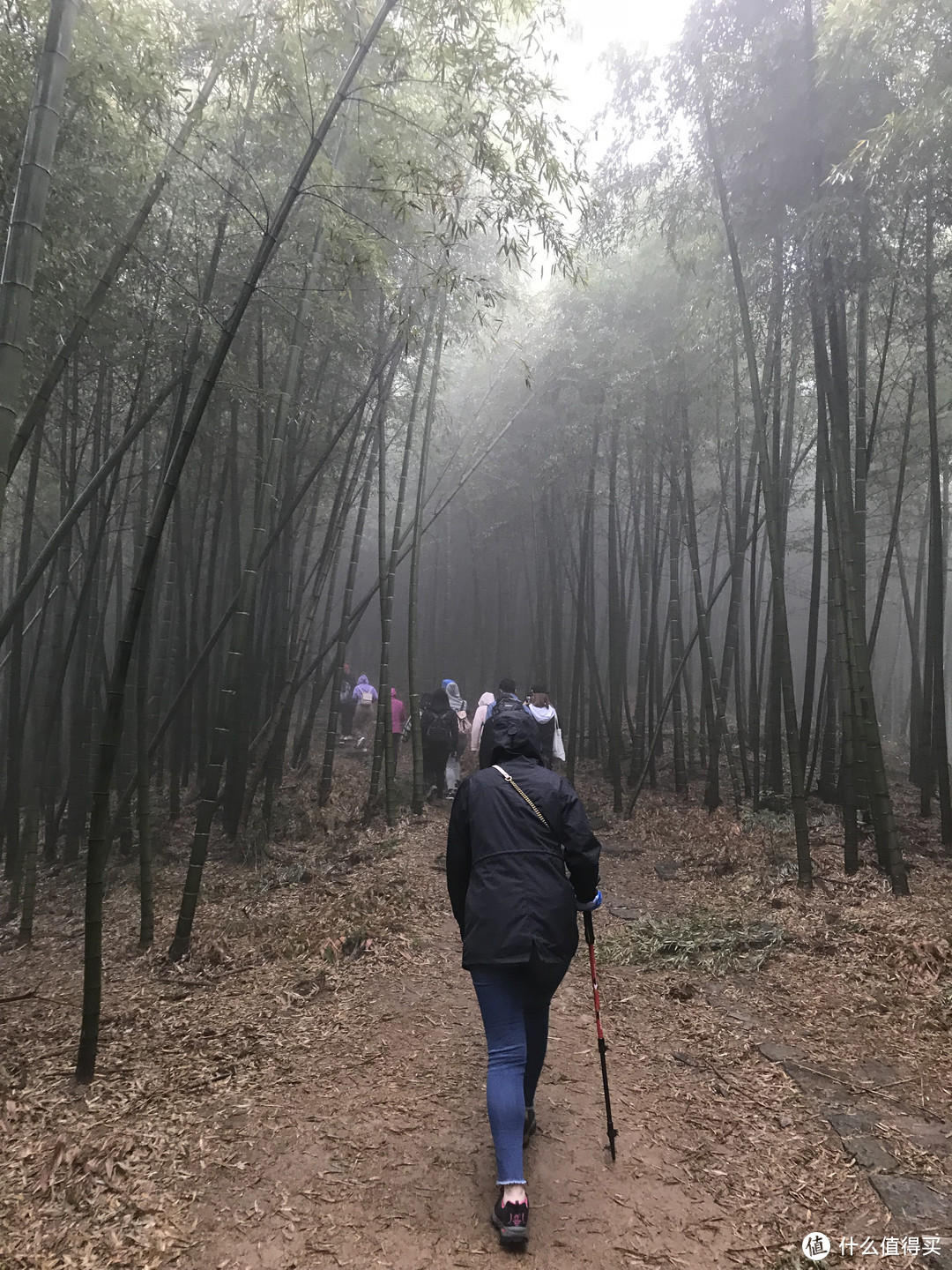 探路者登山杖 ZEKG80396-CA5C 晒单及其莫干山一日徒步试用分享