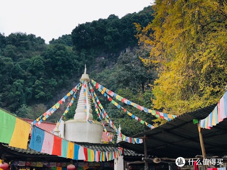 银杏黄时白岩寺