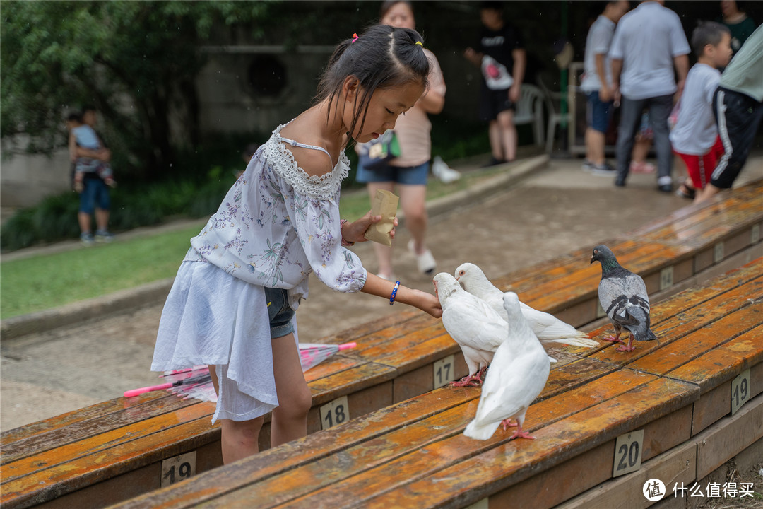 感受金陵古韵，漫步烟雨古都—南京匆匆四日游（下篇）