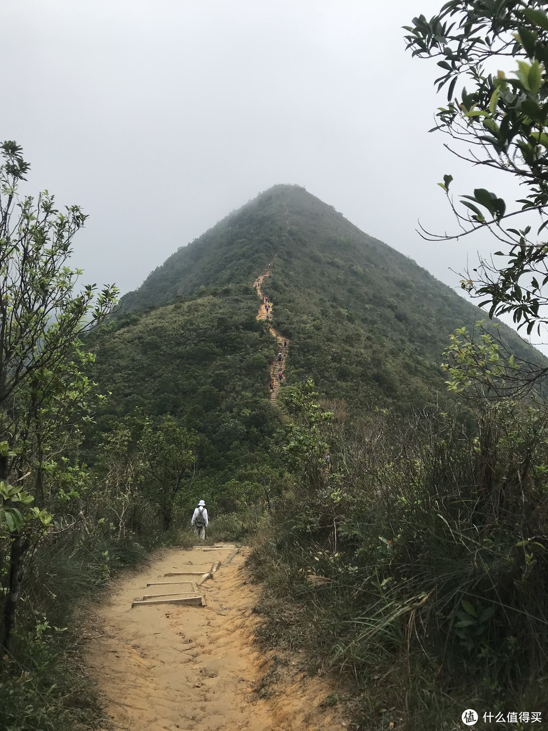 麦理浩径六七八段之重返大帽山