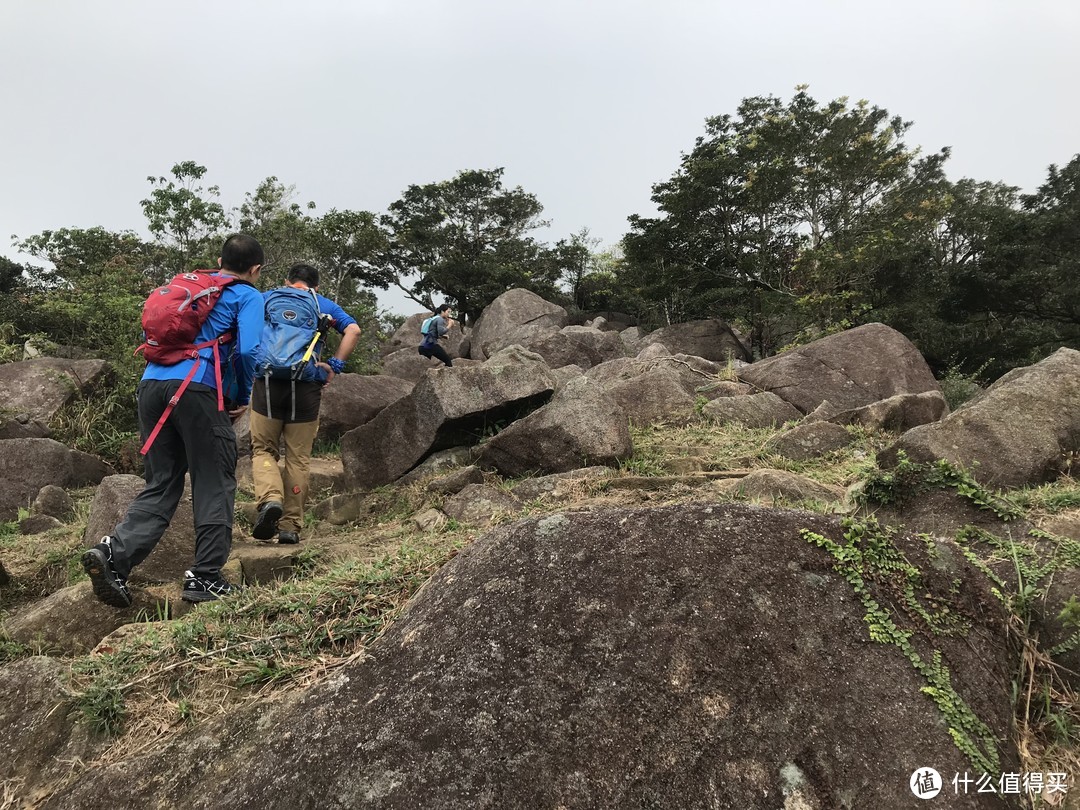 麦理浩径六七八段之重返大帽山