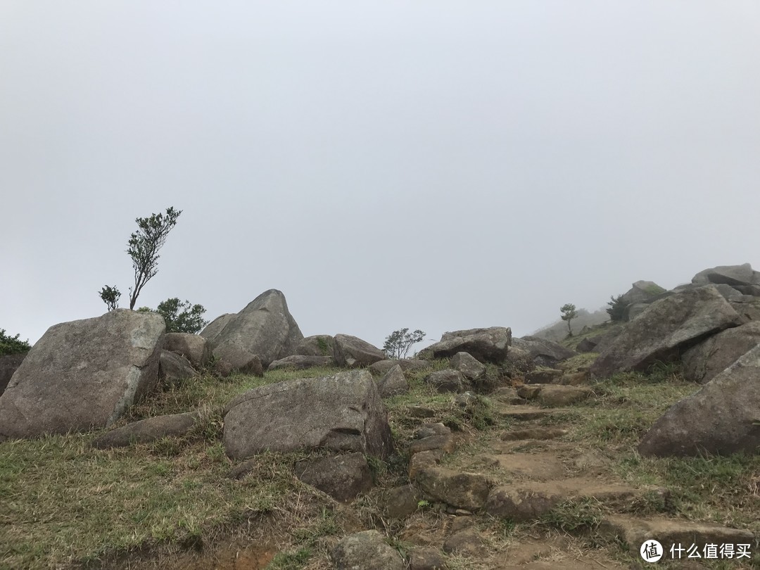 麦理浩径六七八段之重返大帽山