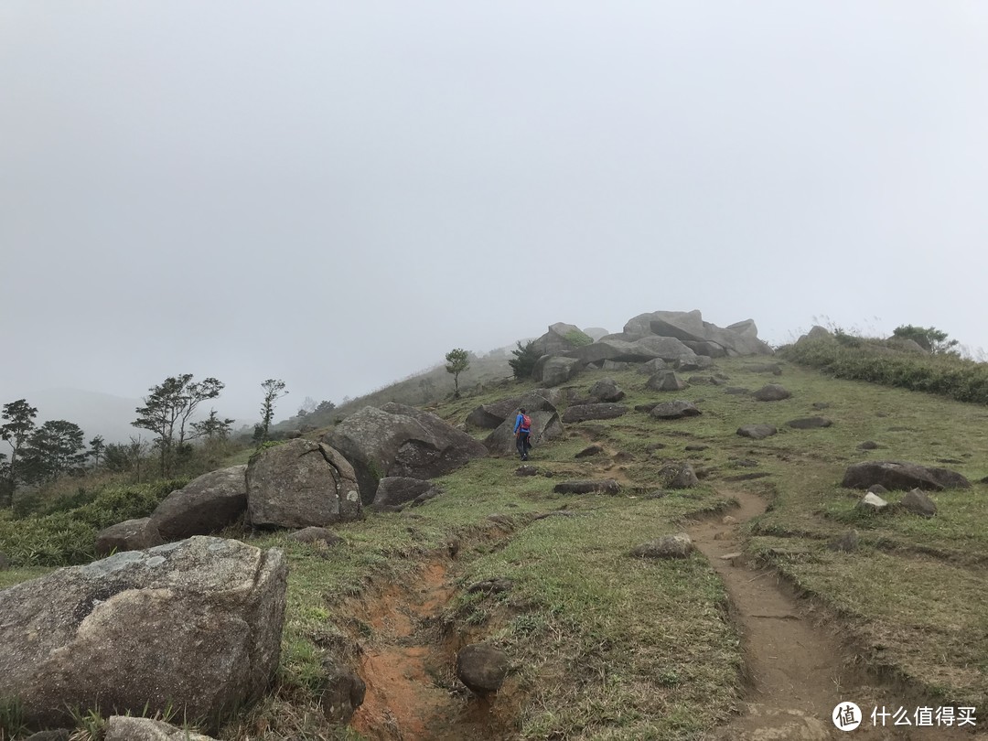 麦理浩径六七八段之重返大帽山