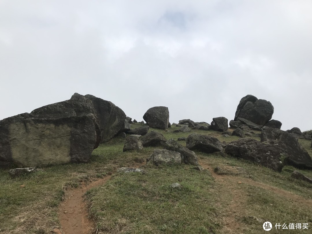 麦理浩径六七八段之重返大帽山