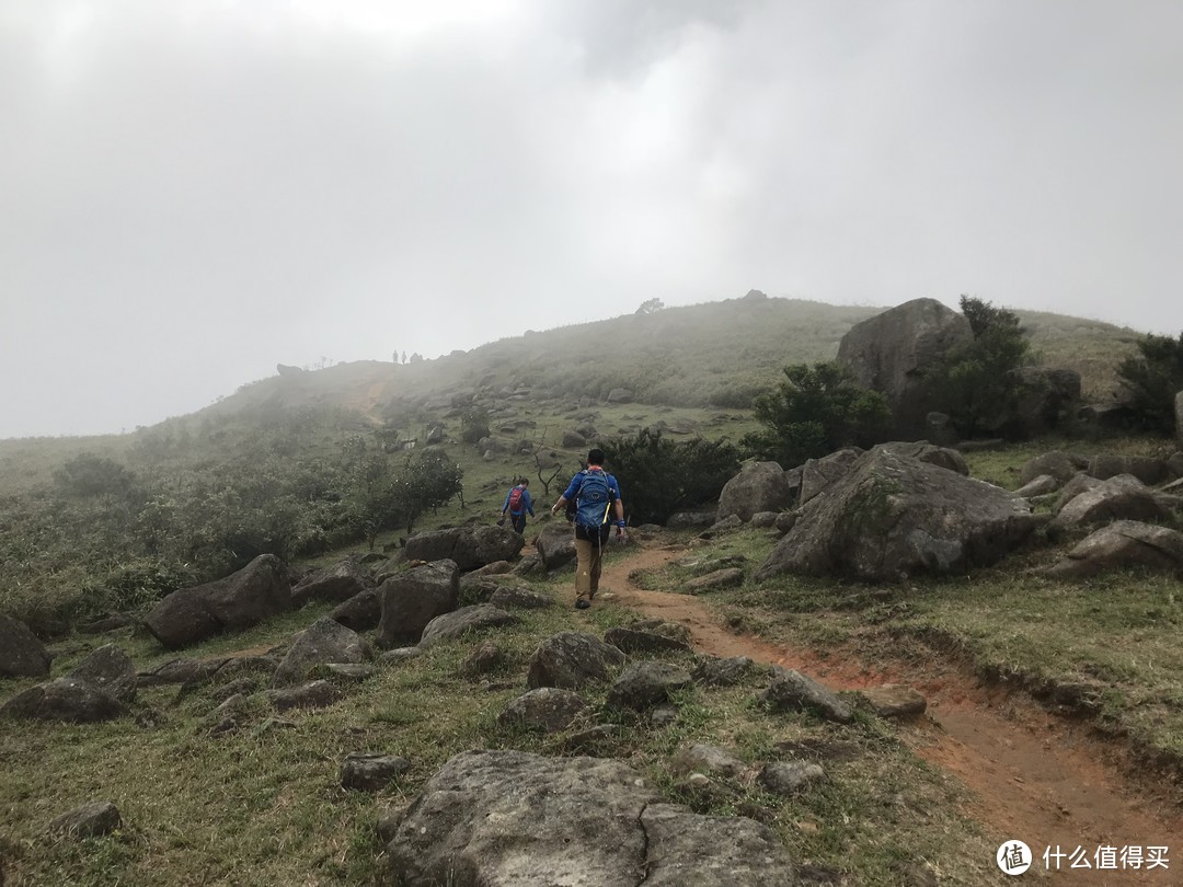 麦理浩径六七八段之重返大帽山