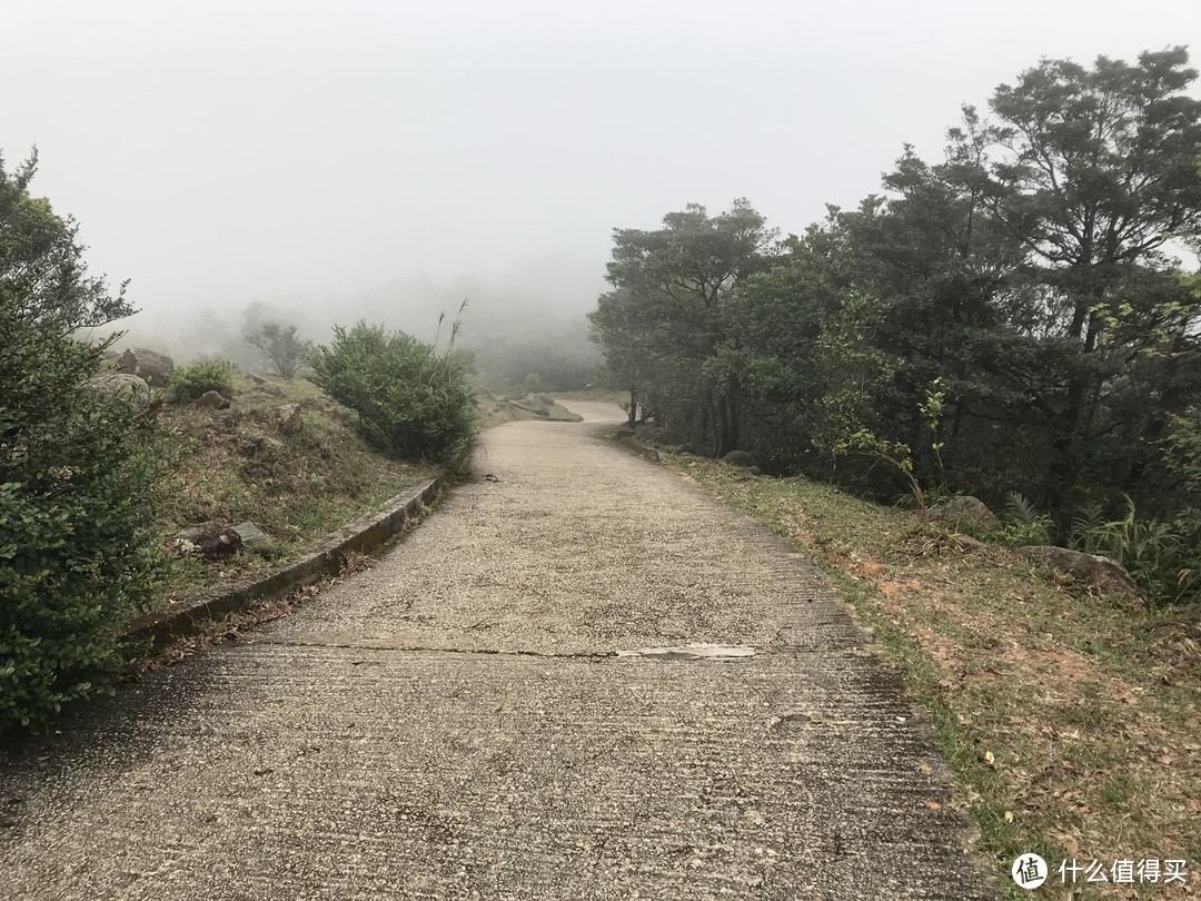 麦理浩径六七八段之重返大帽山