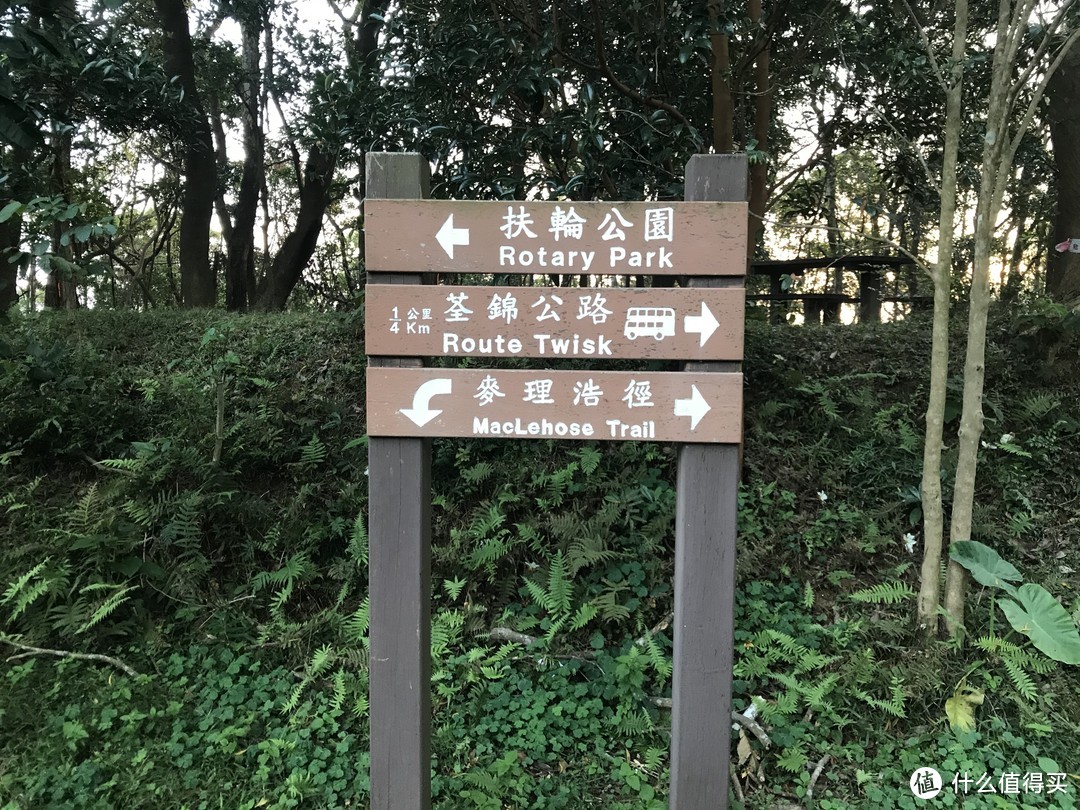 麦理浩径六七八段之重返大帽山