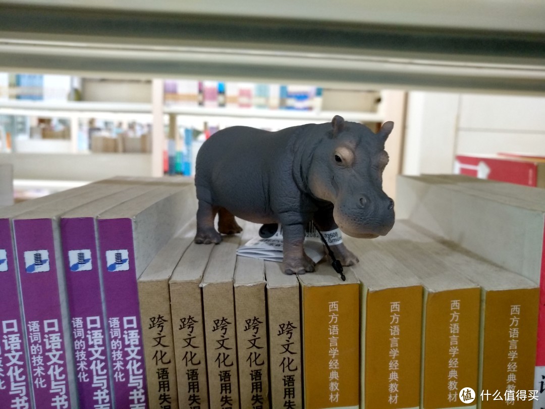 图书馆猿のSchleich 思乐 几只小动物简单开箱