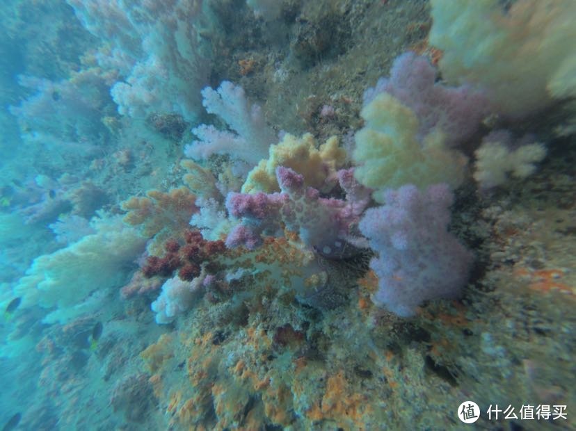 人生就像大海，一浪接着一浪—记帕劳初次水肺潜水