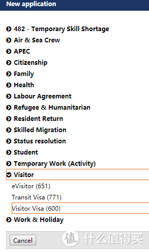 这里有所有种类的签证申请，包括劳工及学生等等，作为游客，我们选择Visitor Visa（600）