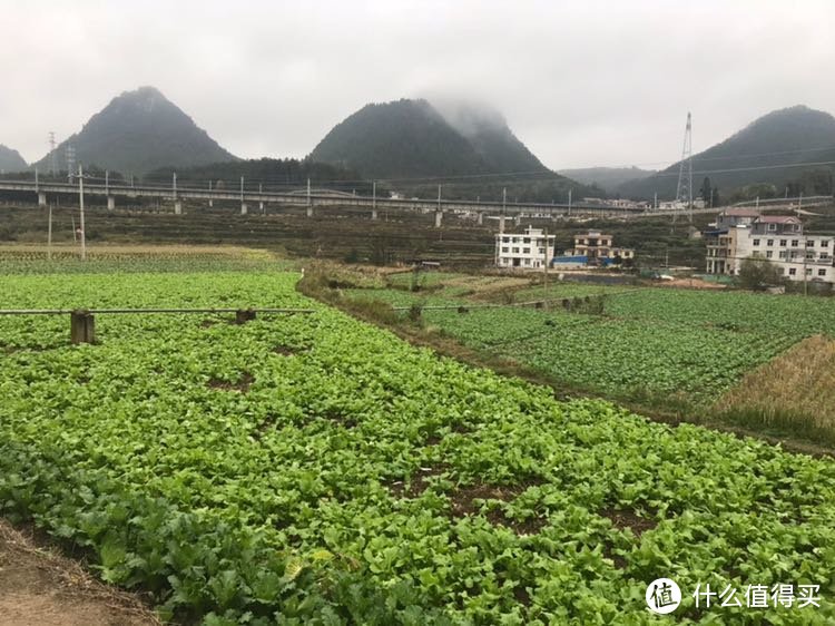 手机拍不出现场感，愧对值友们