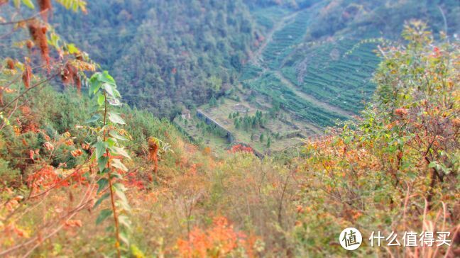 ​山就在那里，总有一段旅程满怀温暖—单人徒步探寻武当五龙宫祈福爱的人