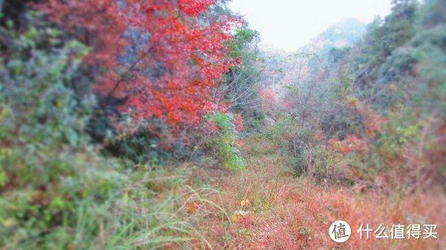 ​山就在那里，总有一段旅程满怀温暖—单人徒步探寻武当五龙宫祈福爱的人