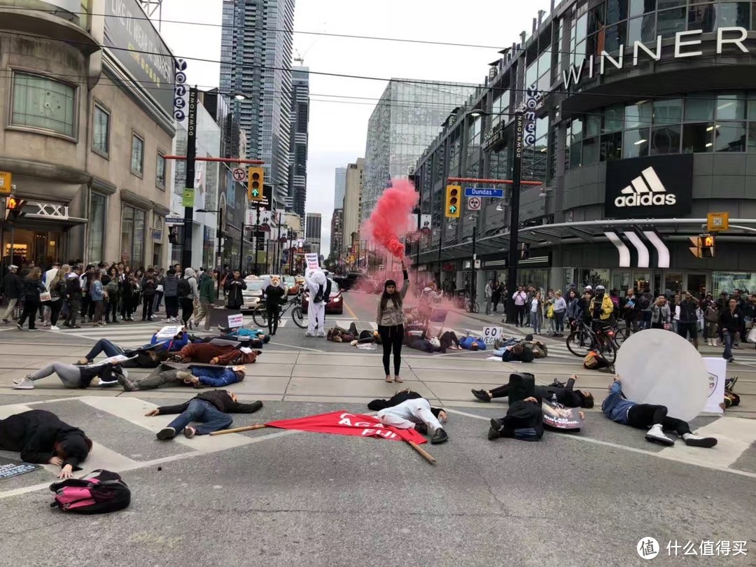 北方过冬好选择—加拿大鹅 CANADA GOOSE Carson Parka羽绒服