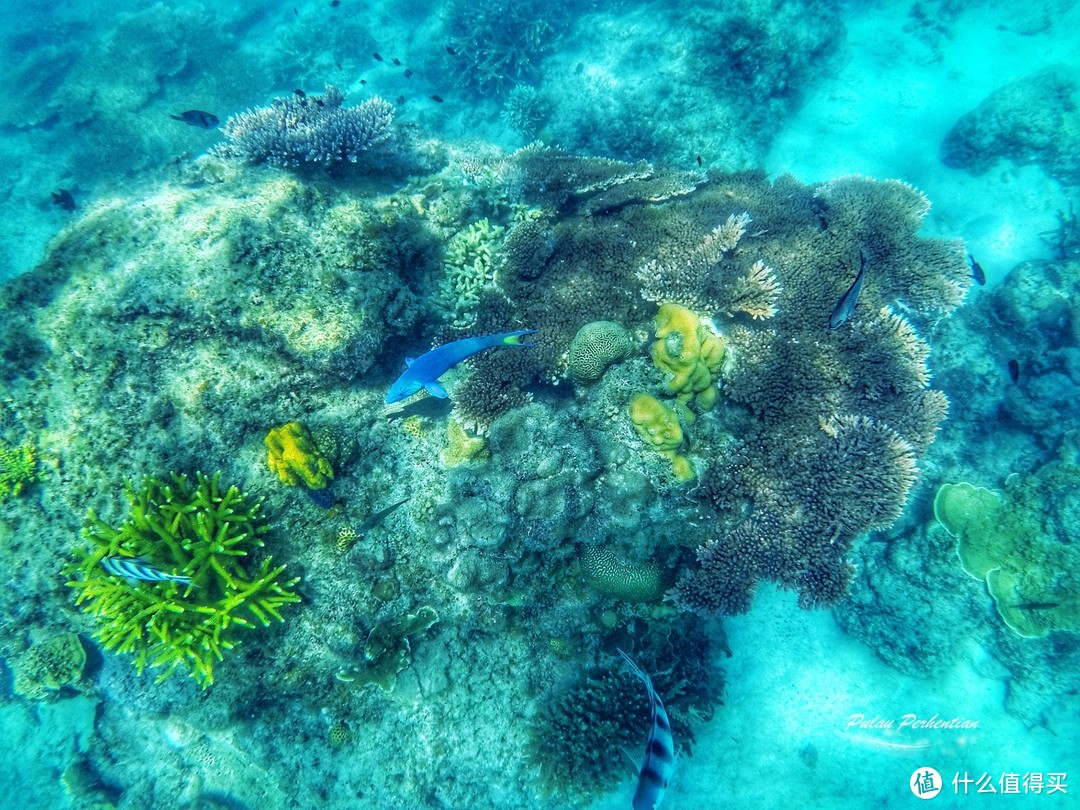 【旅行系列】寻找一方停泊的港湾—记旅行小分队第一次“停泊岛”之旅