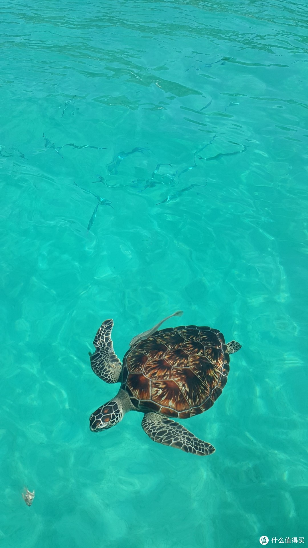 【旅行系列】安静的小岛，美好的时光—热浪&浪中岛，一家四口十一出游记