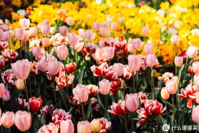 难怪富豪都爱去国外定居！这些最适合养老的国家，福利好，风景还美到爆！