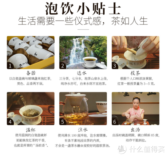 【照曦说茶·泡茶篇】茶艺太难Hold不住？别怕，先把这几个泡茶关键点抓稳喽！