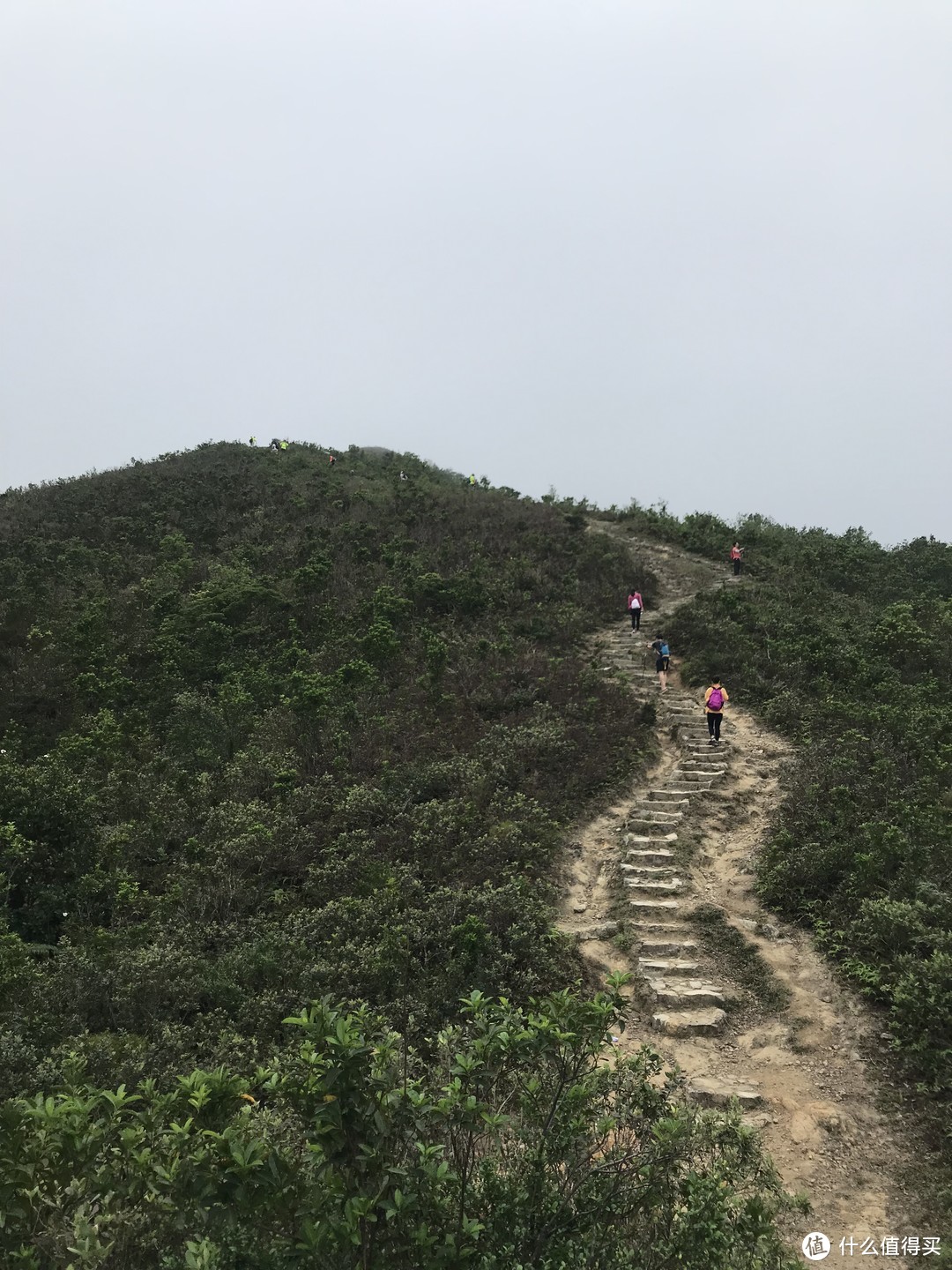 香港徒步—麦理浩径三四段之虐山行