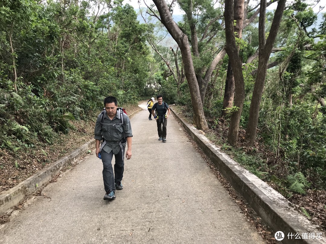 香港徒步—麦理浩径三四段之虐山行