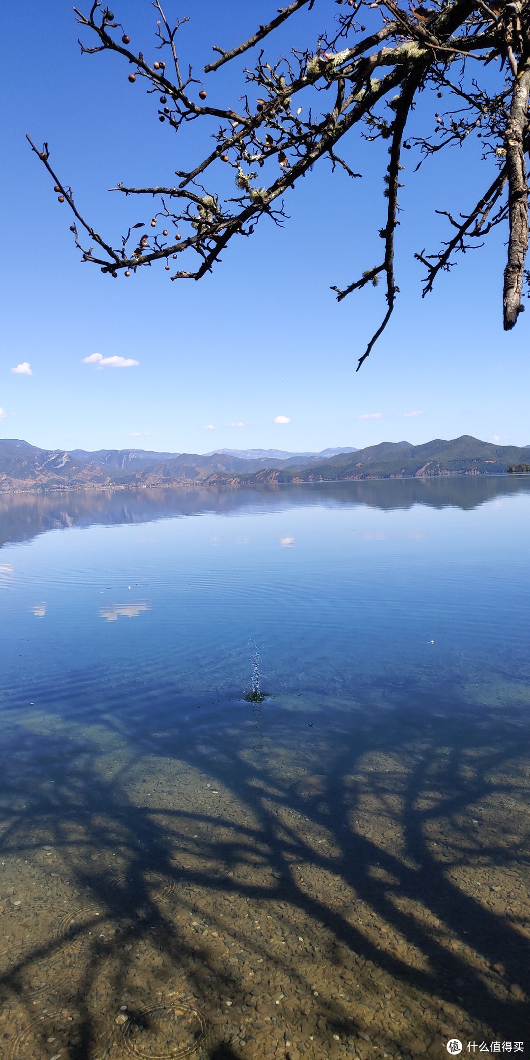 云南游记：丽江-泸沽湖-大理9日游