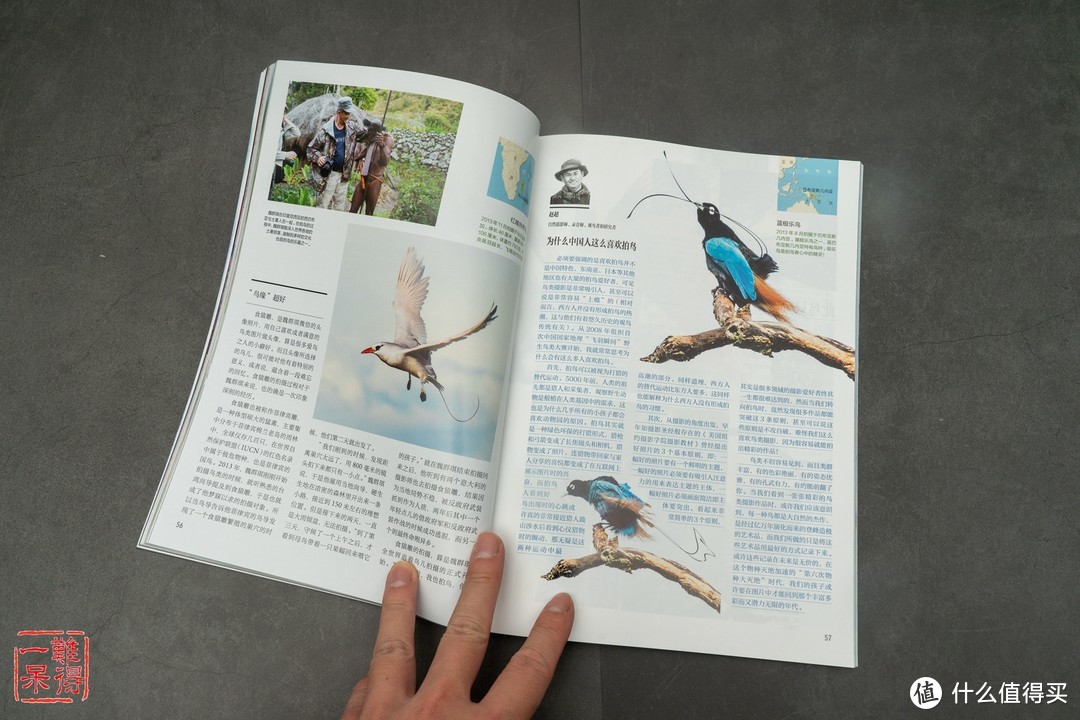 了解世界：双十一买的《中国国家地理》和观鸟拍鸟的书