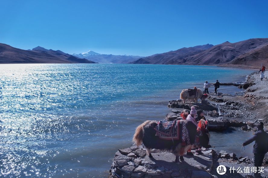 羊湖边，有众多藏民以牦牛赚钱，但不好的是，雪山角度下午逆光。