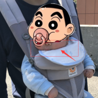 ergobaby Omni360 全功能婴儿背带使用总结(背带|价格)