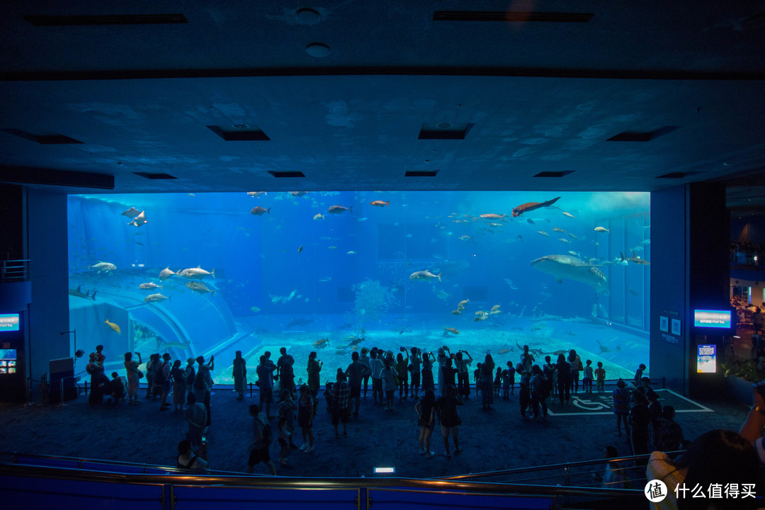 最震撼的水族箱，17-40广角略显无力