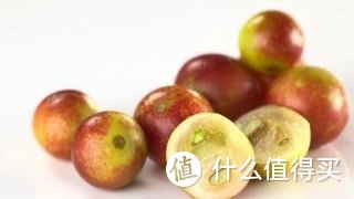 “卡姆果”内含有高浓度的维C成份