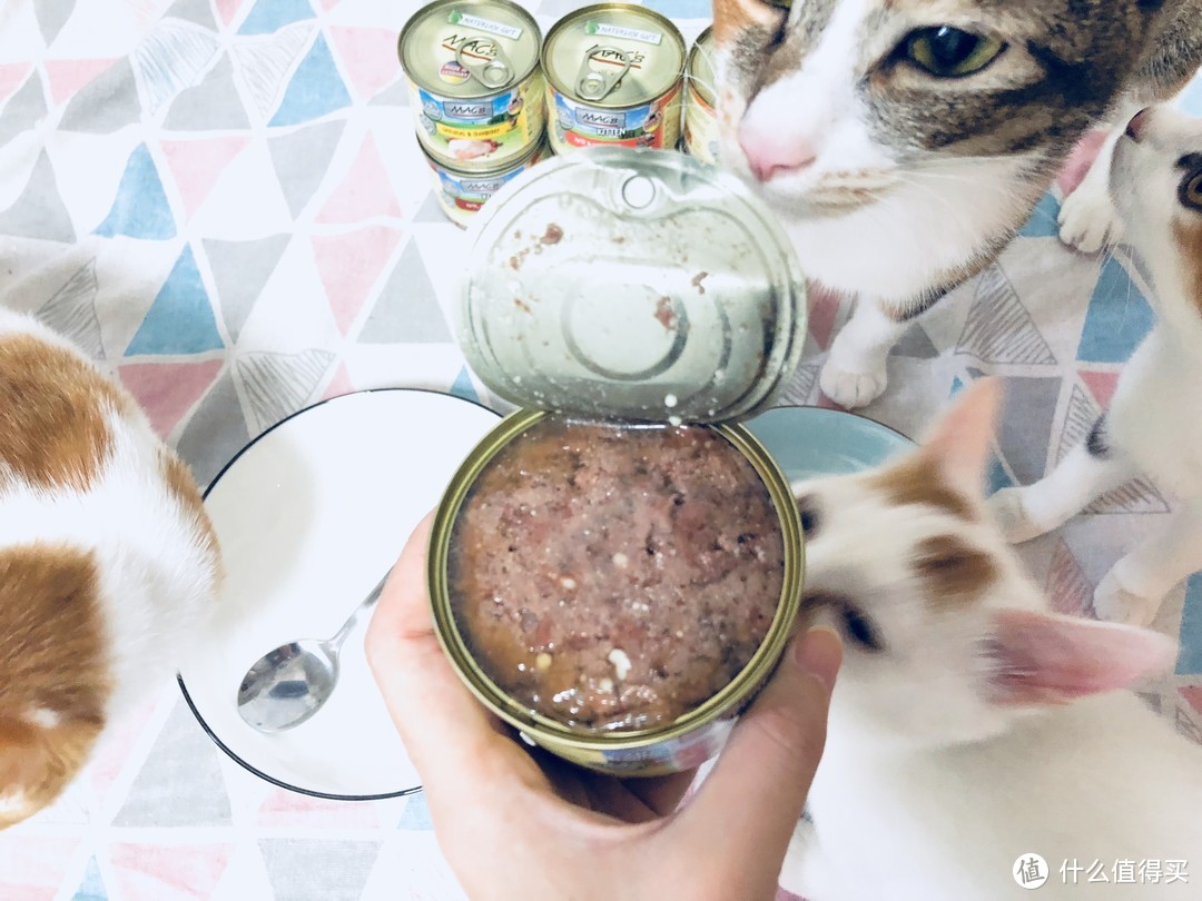 德罐主场—第二份猫咪主食罐头开罐小测评