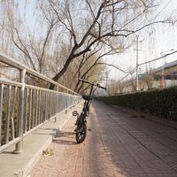 FIIDO D3 电动自行车使用总结(续航|避震|承重|速度)