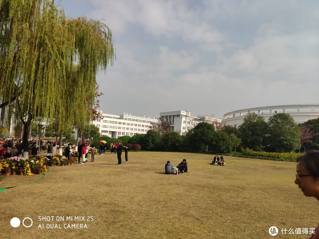 比公园更美的校园—上海大学宝山校区菊花节