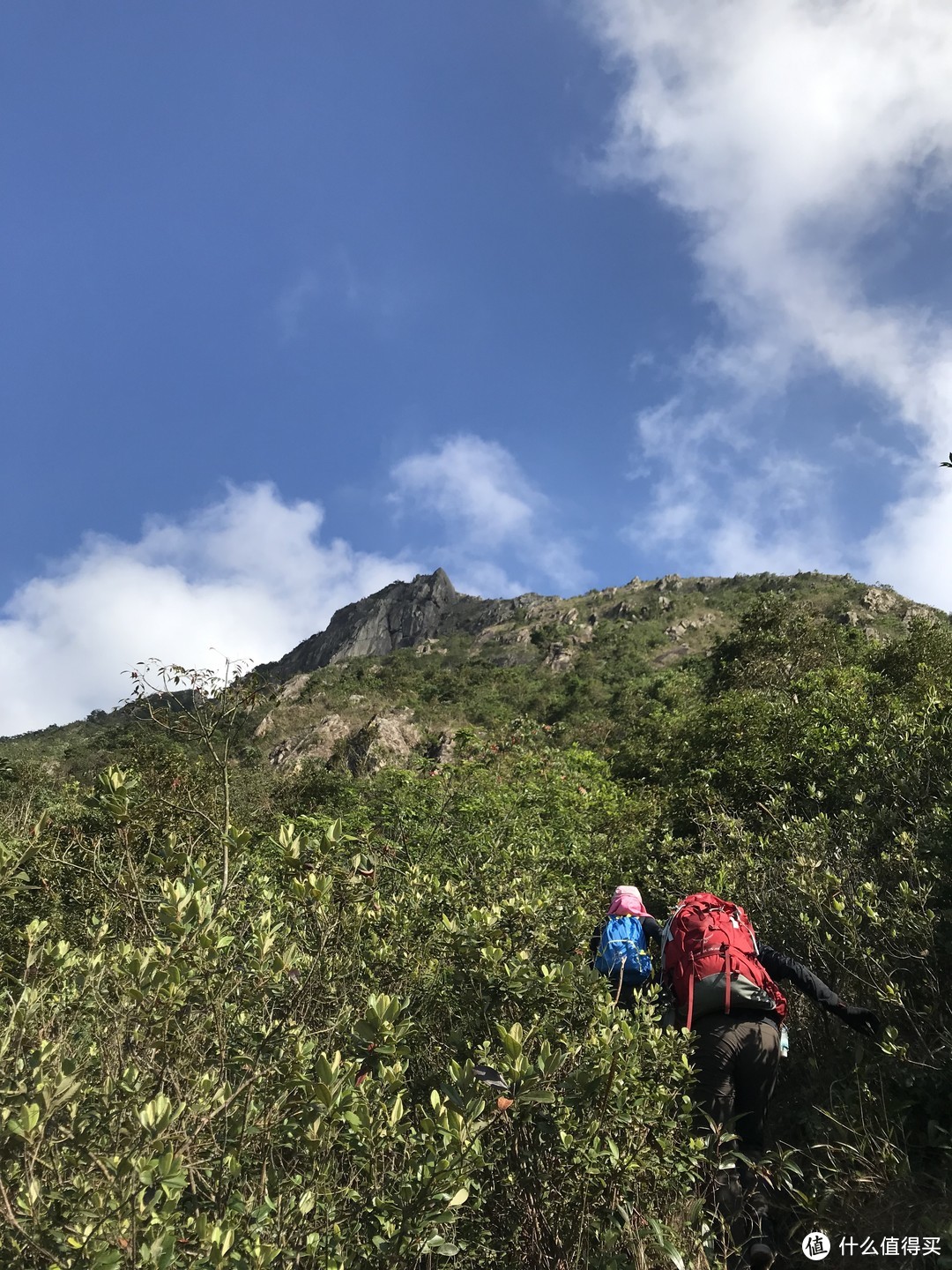 香港徒步—落日脊上飞鹅山遐想、麦理浩径登狮子山展威