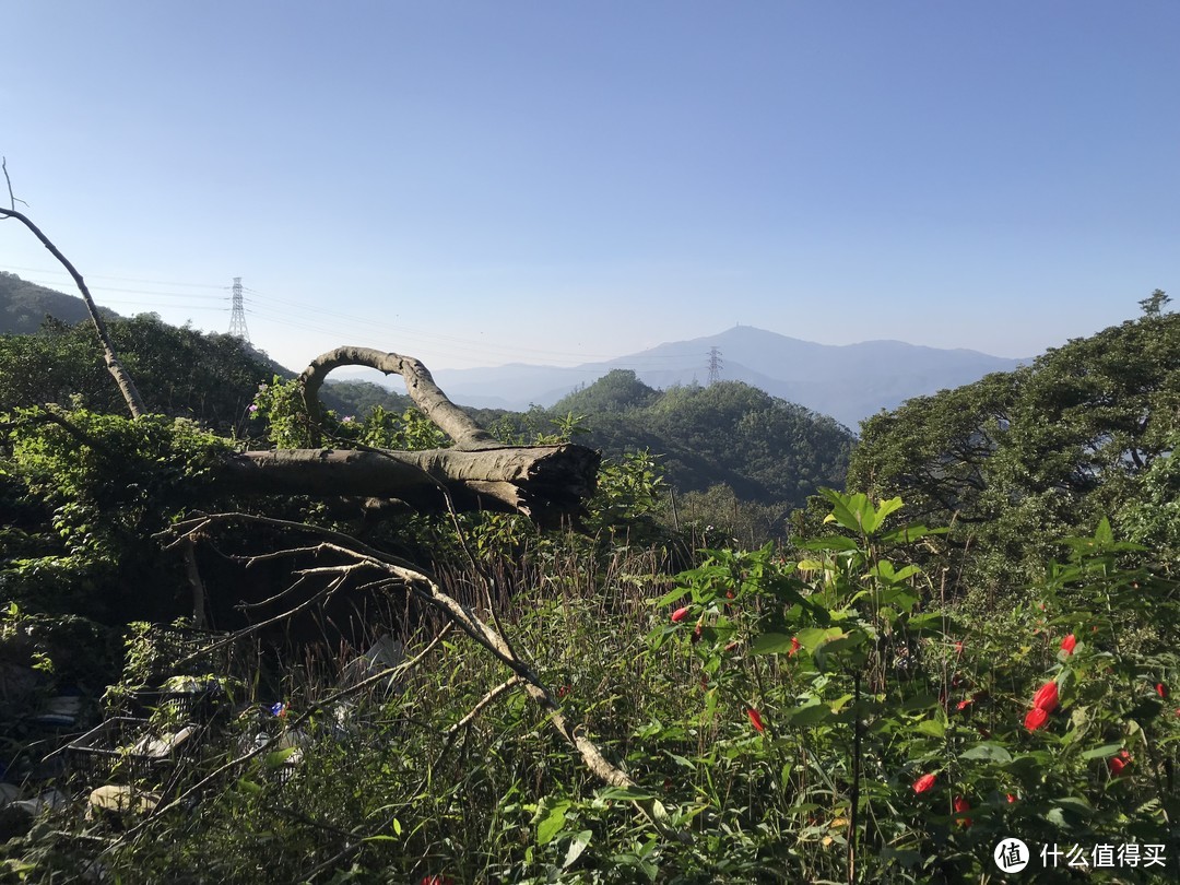 香港徒步—落日脊上飞鹅山遐想、麦理浩径登狮子山展威